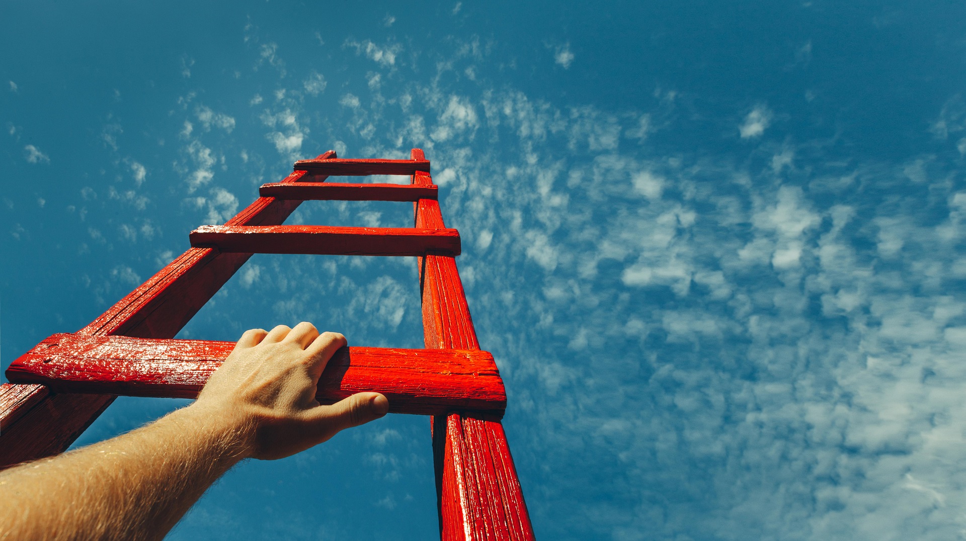 ladder