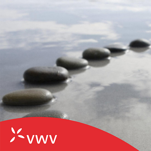 VWV Recruitment Team's Top Tips